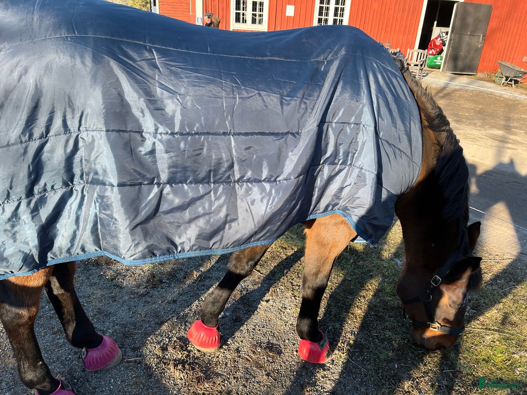 Täcken hästutrustning till salu: Horsewear Liner i Värmdö - Annons 3
