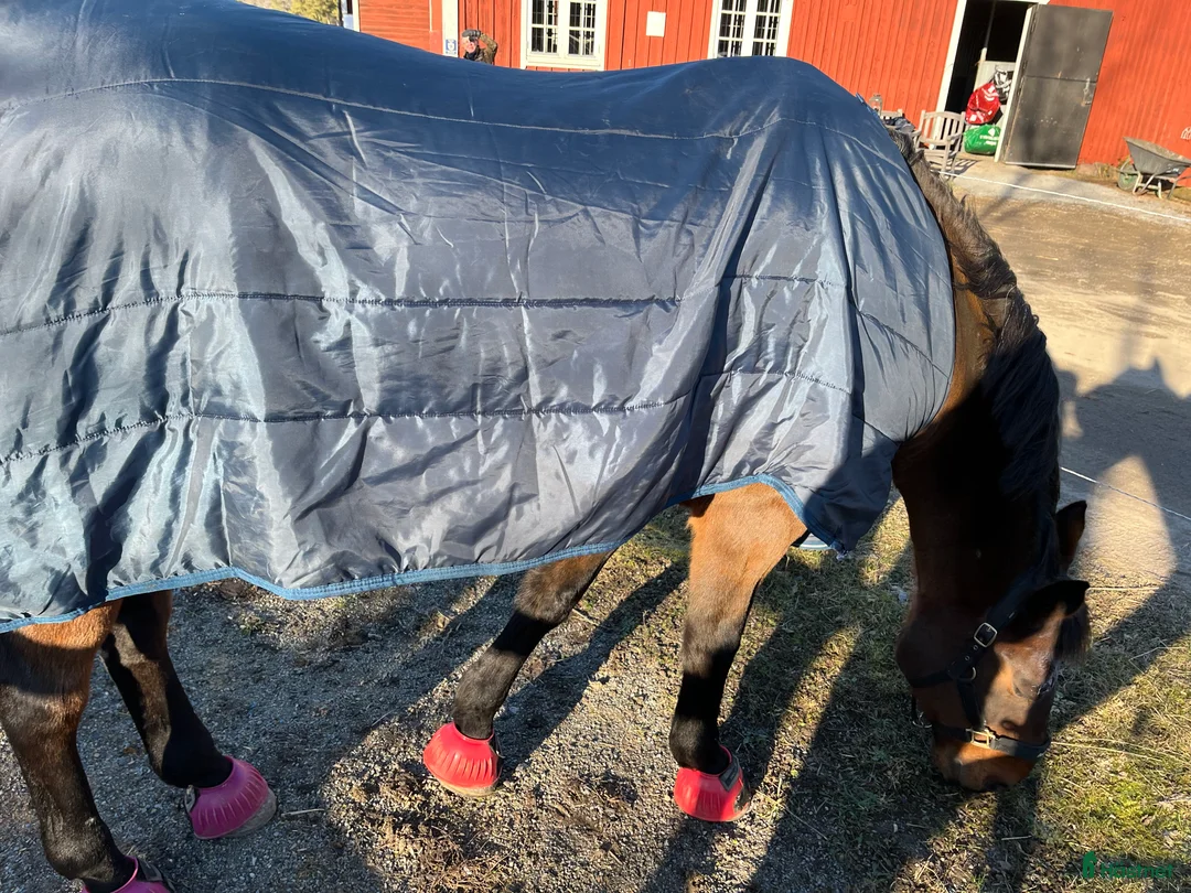 Täcken hästutrustning till salu: Horsewear Liner i Värmdö - Annons 3