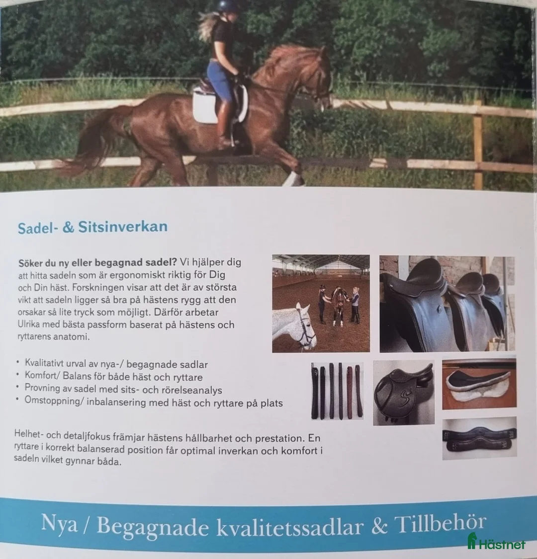 Sadlar hästutrustning till salu: Sadelhjälp Utprovning och Stoppning på plats i Förslöv - Annons 2