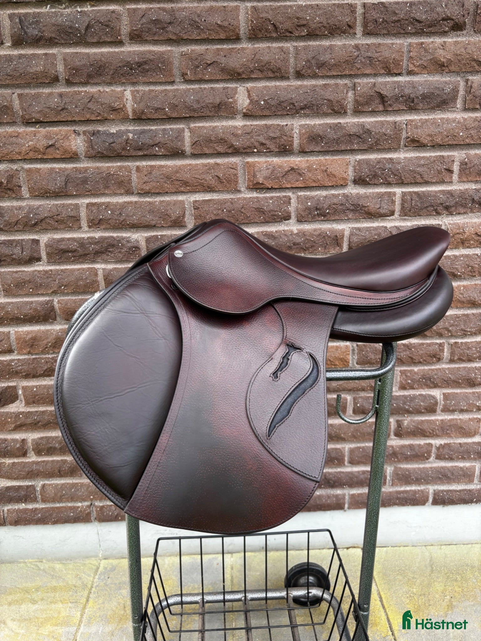 Sadlar hästutrustning Antares Evolution Hoppsadel 17 – Brun - Annons 18