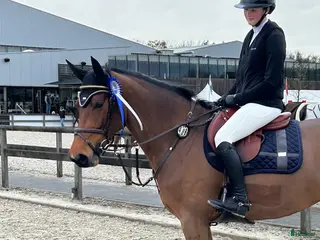 hästar Sto med fin hoppteknik - Annons 2