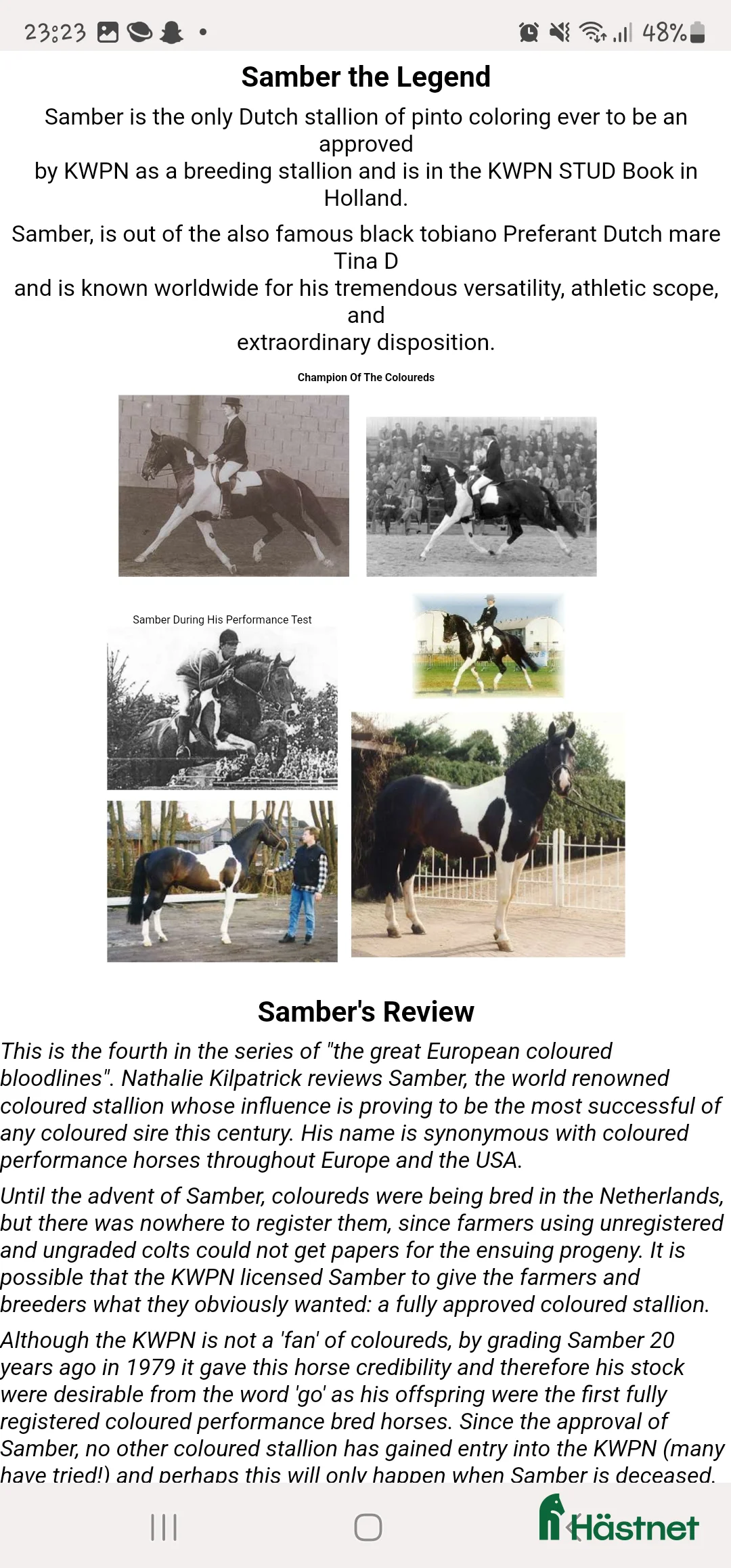 Allround hästar till salu: Vackert Sto i Vimmerby - Annons 15