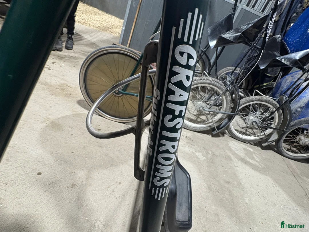 Travsulkys trav till salu: Ponny Yankee  i Ekolsund - Annons 3