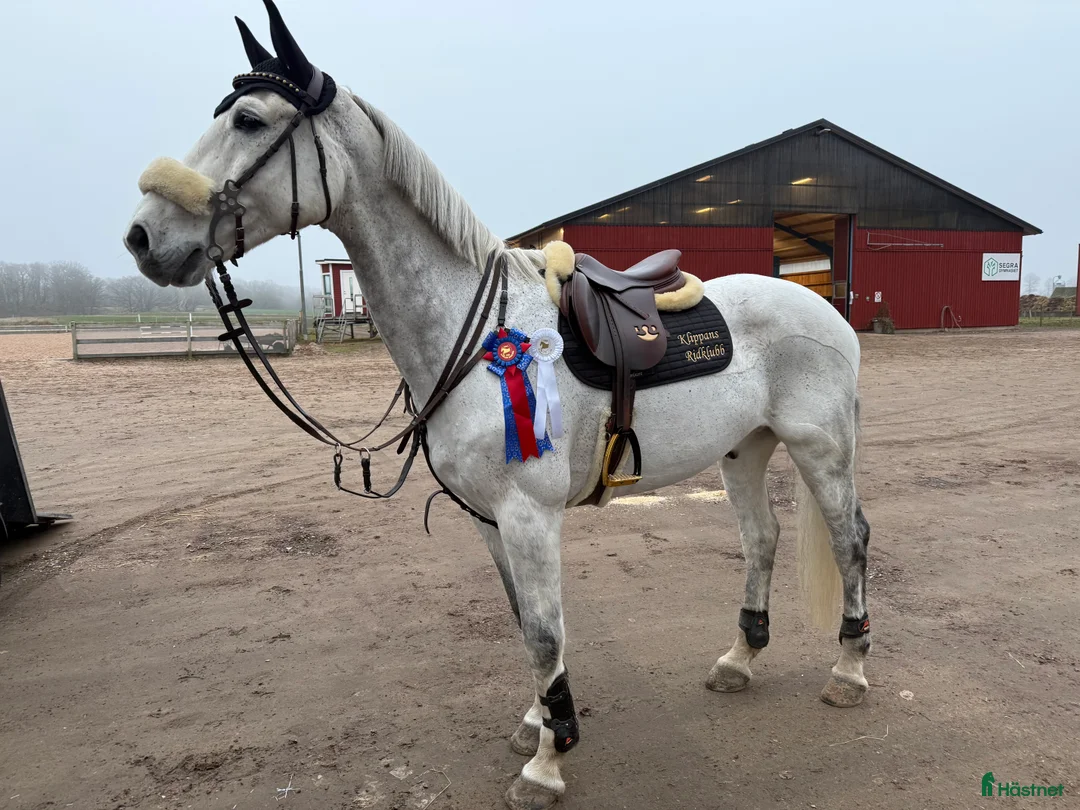 Galleribild {{count}}