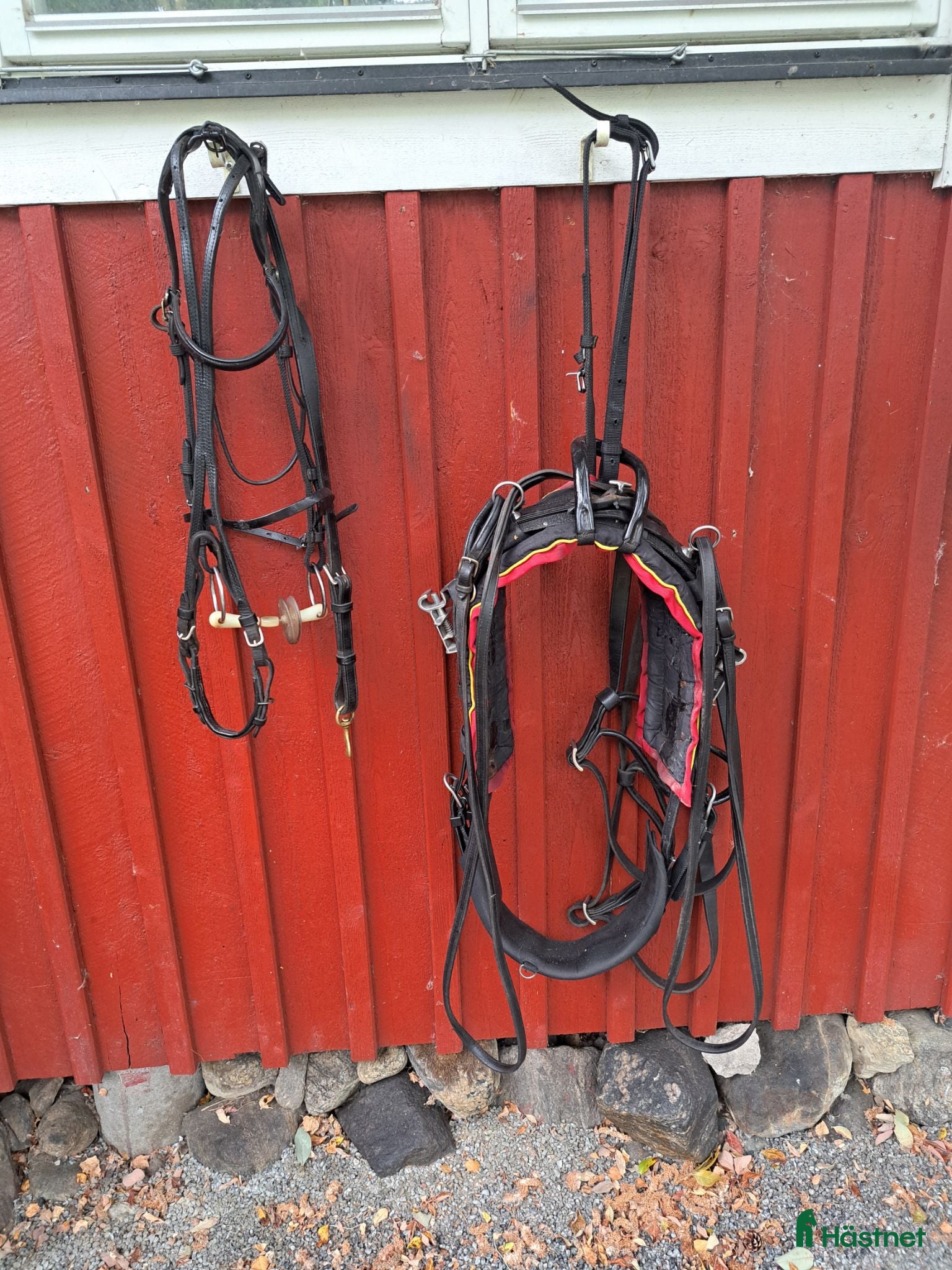 Övrig Travutrustning trav till salu: Travsele Huvudlag .finntack speedcart hjul - Annons 8
