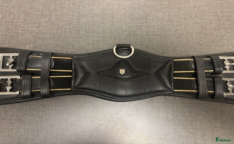 Sadeltillbehör hästutrustning till salu i Landskrona - Annons 8