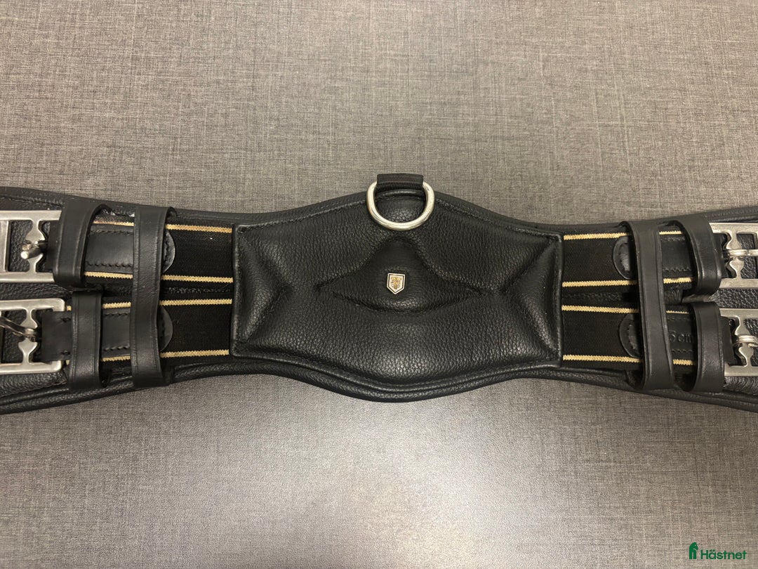 Sadeltillbehör hästutrustning till salu: Sadelgjord  i Landskrona - Annons 1