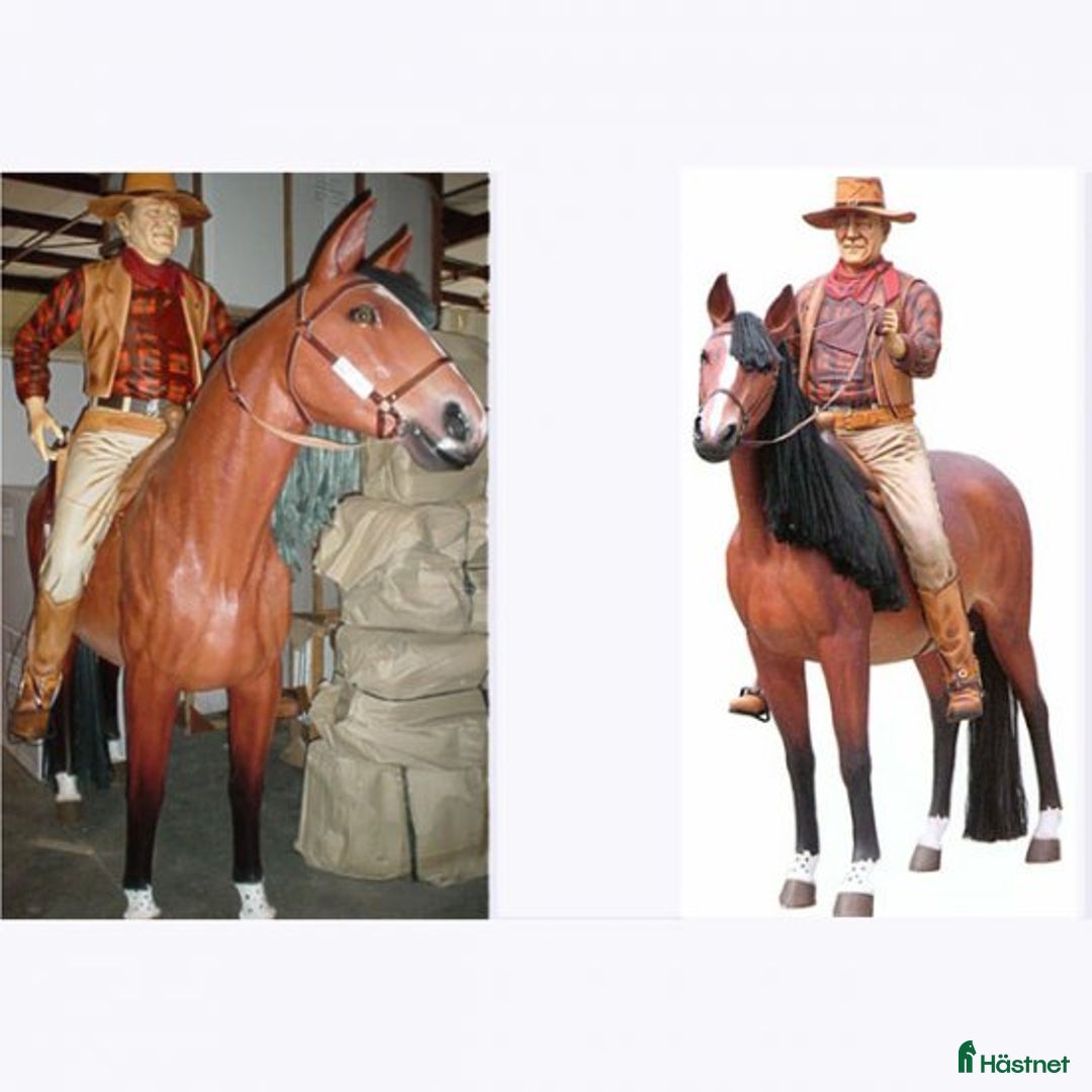 Hästinspirerad heminredning övrig utrustning till salu: Unika glasfiberhästar i naturlig storlek i Luleå - Annons 12