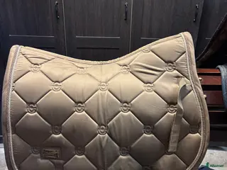 Övrig Hästutrustning hästutrustning till salu: Billiga Shabrak och hästsaker‼️ i Tyresö - Annons 4