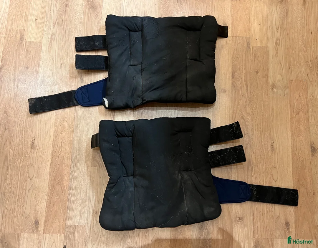 Benskydd hästutrustning till salu: Stallbandage Back on Track - Annons 2