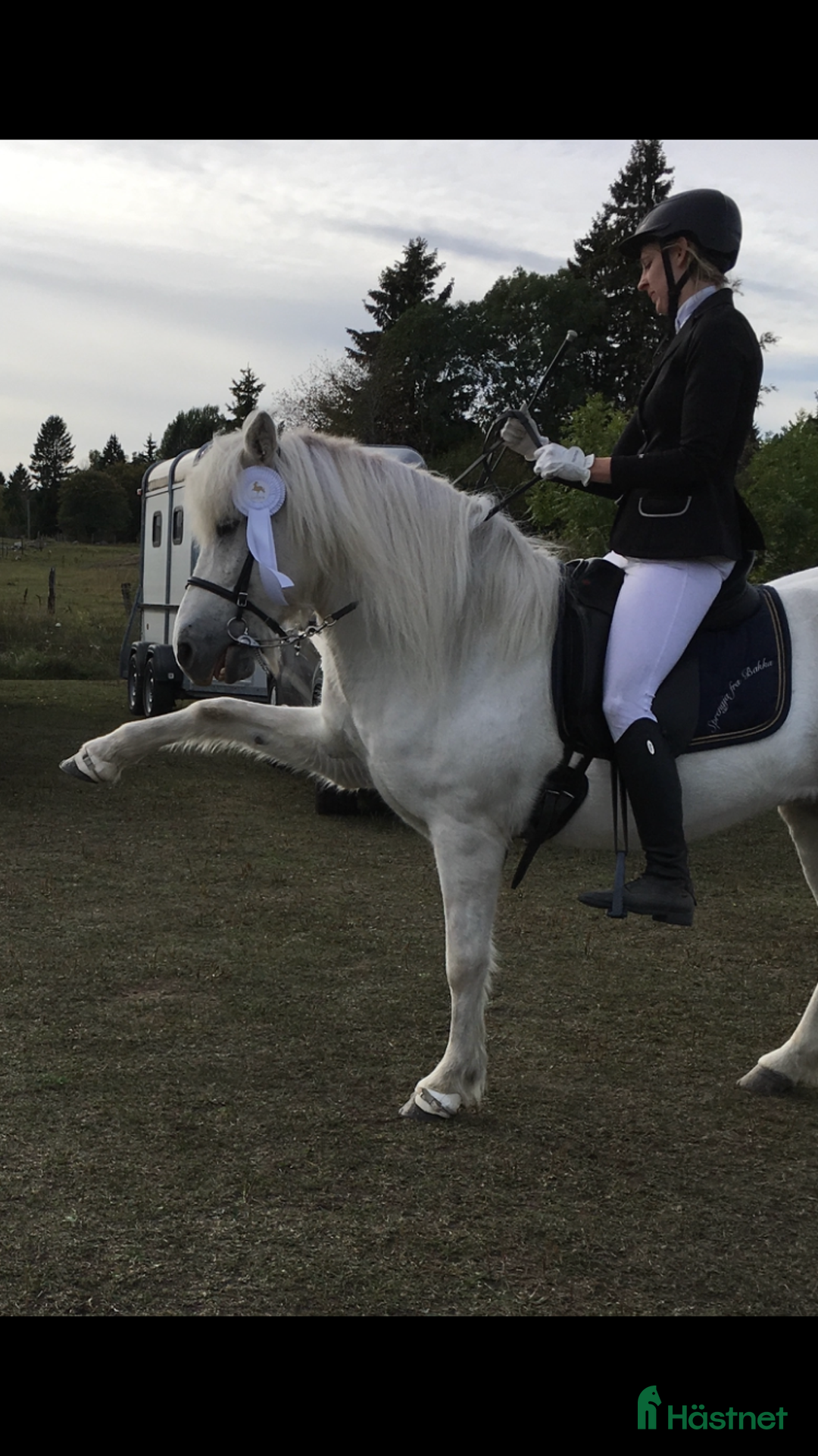  hästservice finnes: Lektioner/lämna häst på träning i Åkersberga - Annons 3