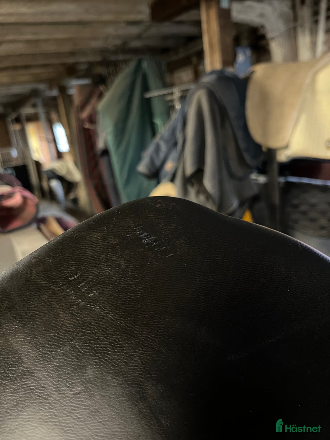 Sadlar hästutrustning till salu: Stubben scandica hoppsadel i Märsta - Annons 7