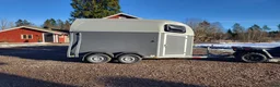 Hästtransporter  fordon & transport till salu: Böckman duo epsrit i nyskick - Annons 1