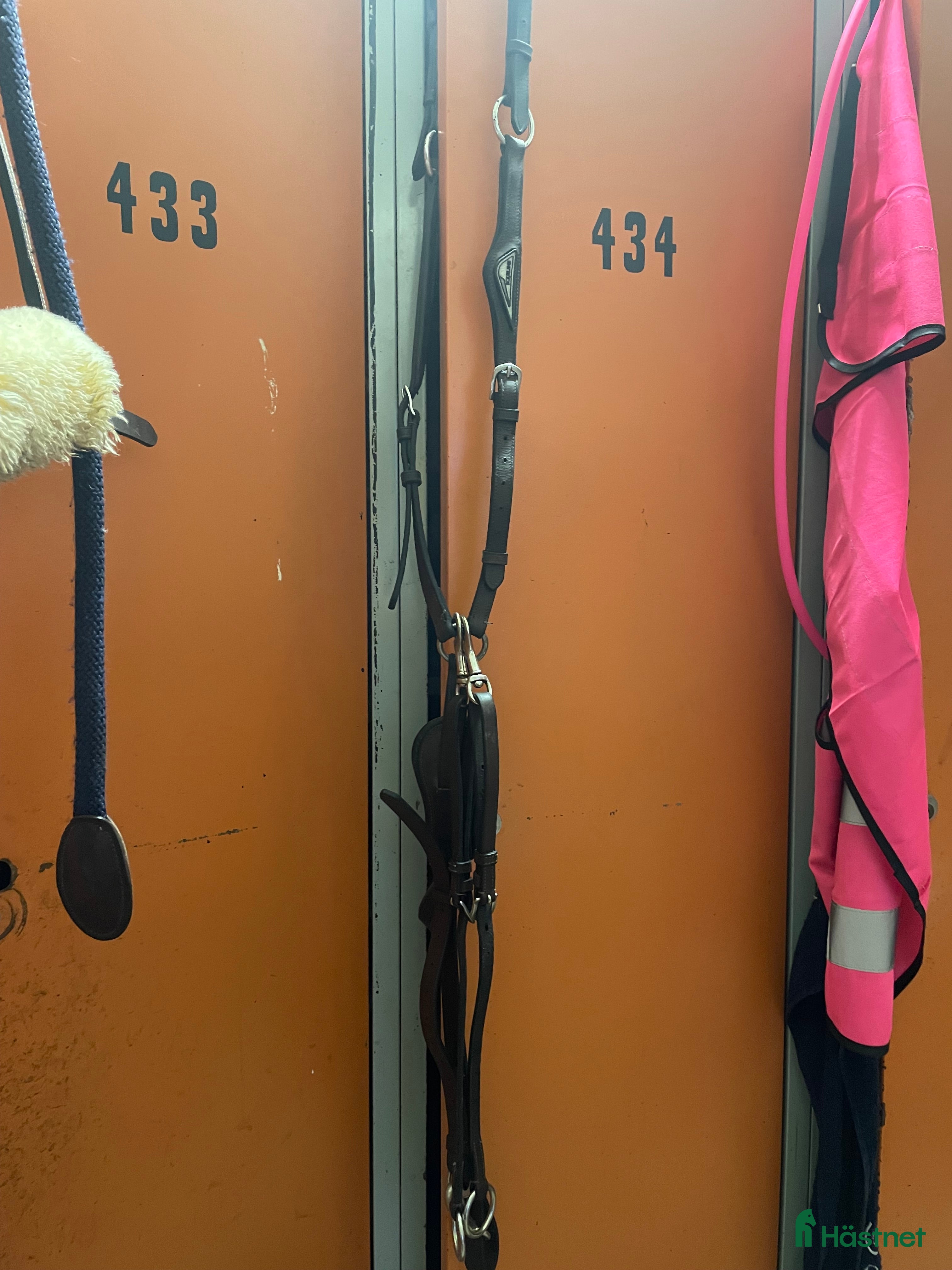 Sadeltillbehör hästutrustning till salu: Equiline martingal  i Flyinge - Annons 6