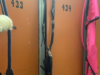 Sadeltillbehör hästutrustning till salu: Equiline martingal i Flyinge - Annons 6