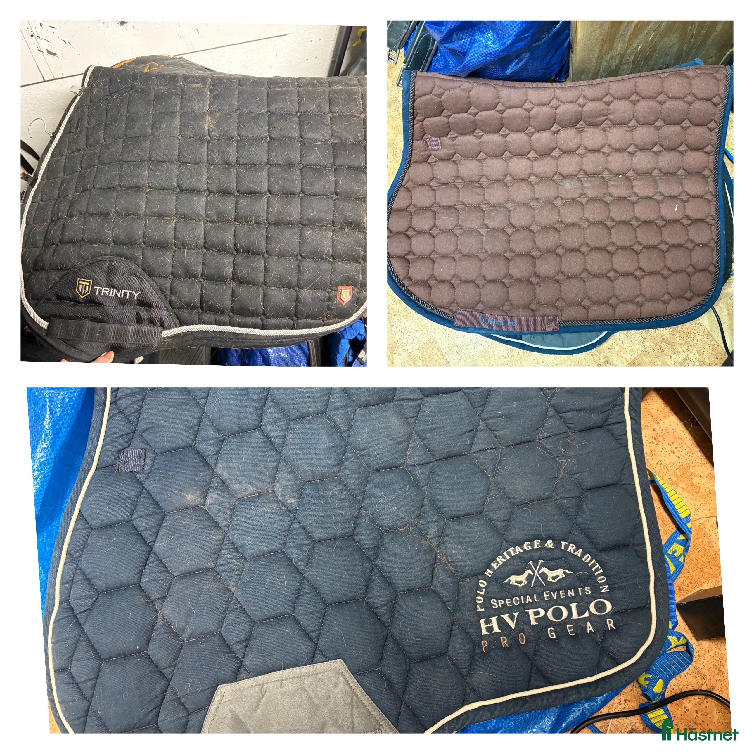 Schabrak & Vojlockar hästutrustning till salu: Hv polo, trinity, börjes i Oskarshamn - Annons 11