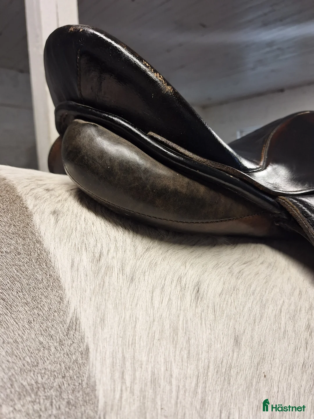 Sadlar hästutrustning till salu: Dressyrsadel till salu i Sturkö - Annons 8