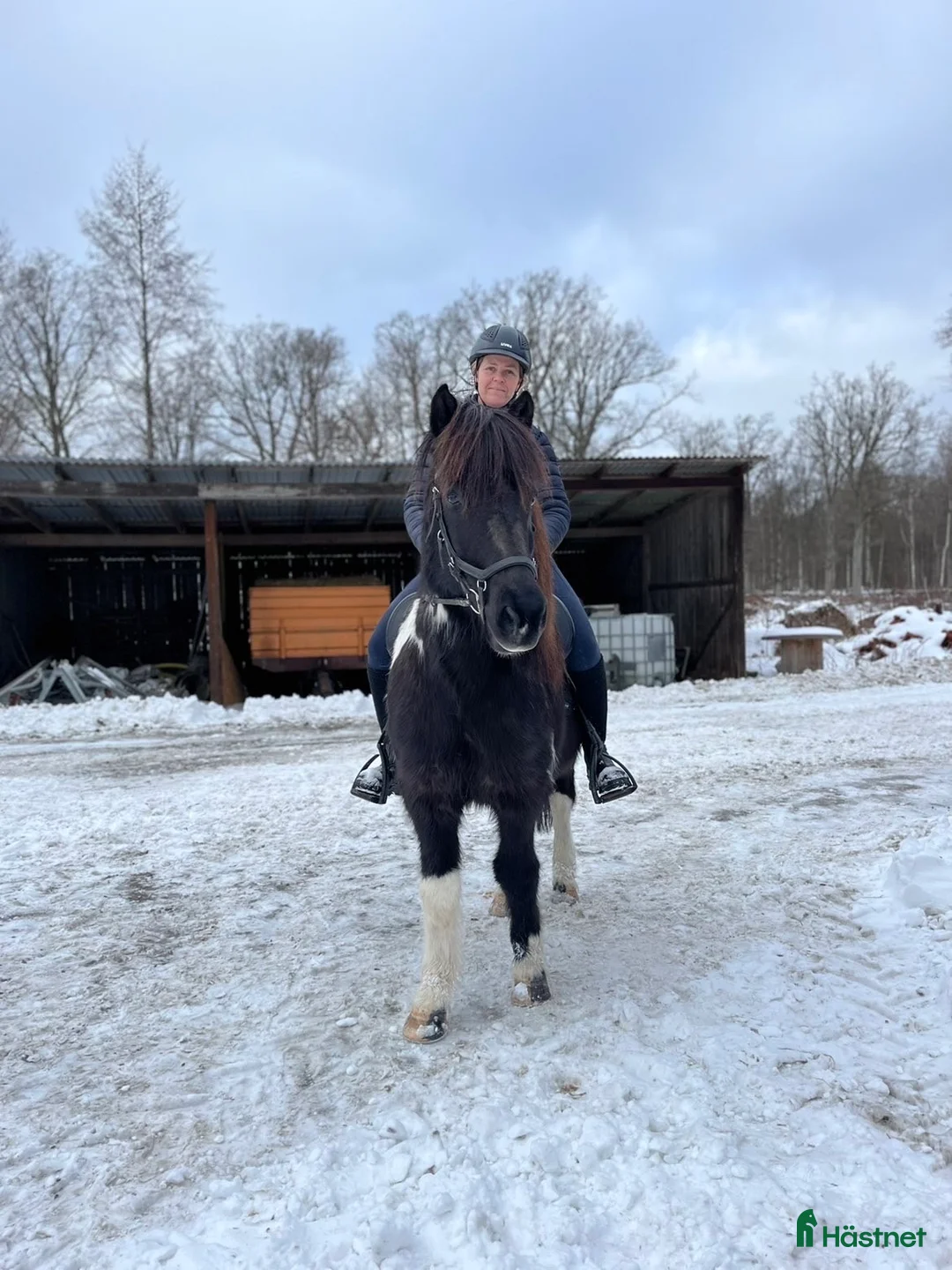  hästservice finnes: Förmedlar tränar och rider in, även problemhästar i Torsås - Annons 1