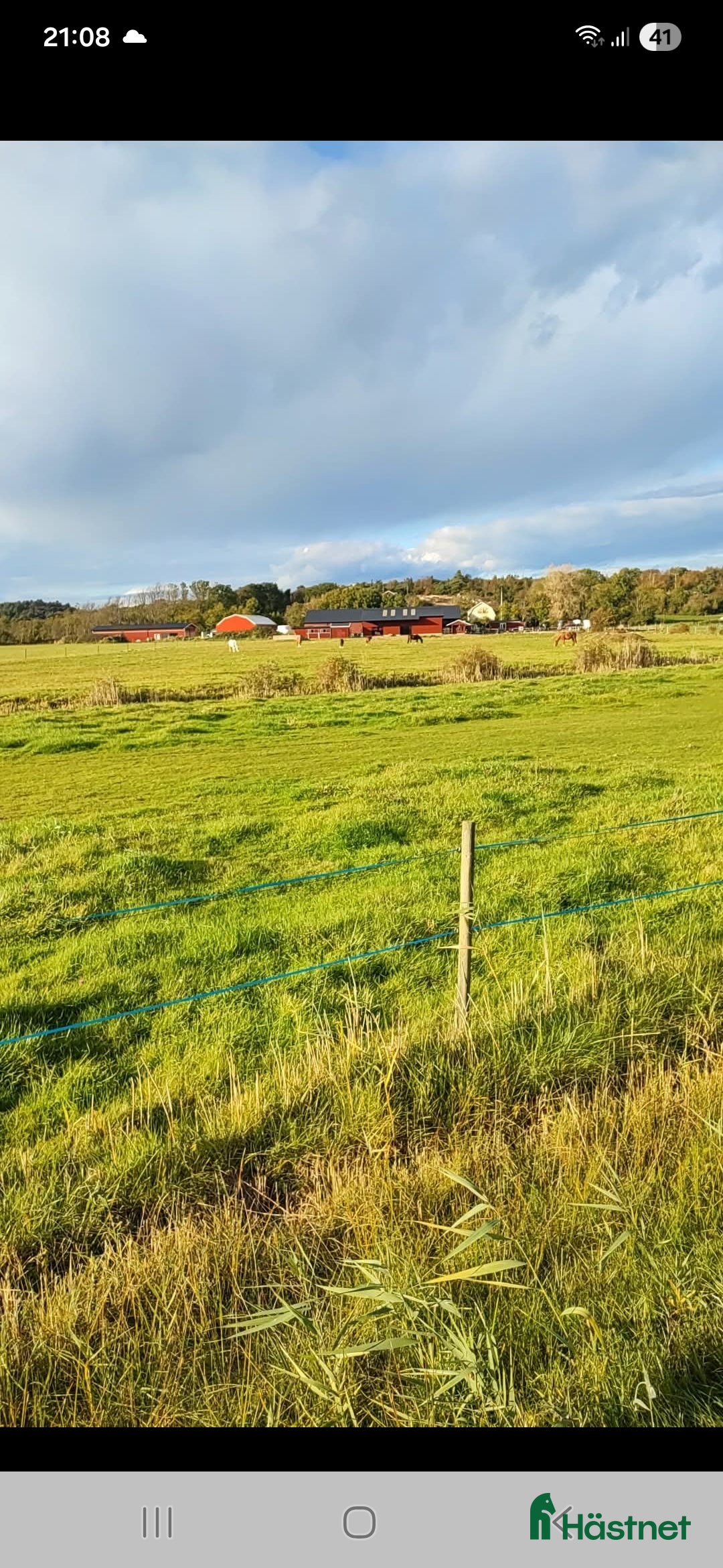  stallplats finnes: Lösdriftsplats - Annons 1