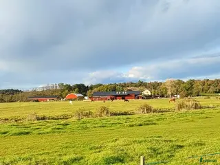 stallplats finnes: Lösdriftsplats - Annons 1