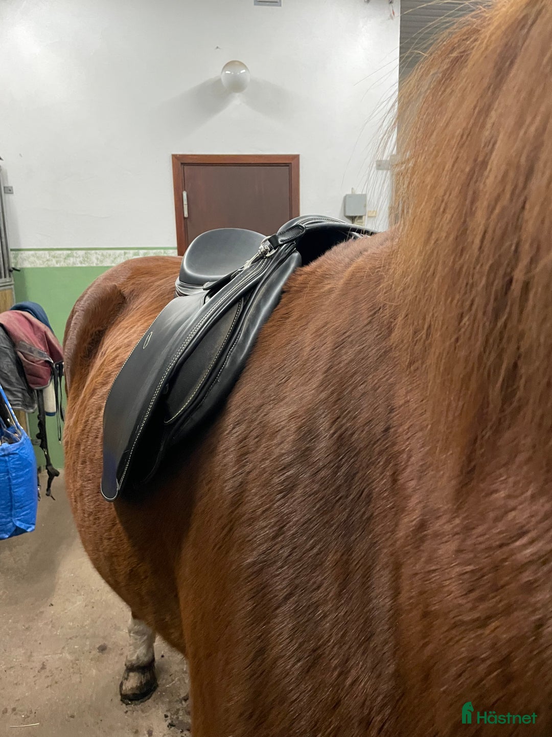 Sadlar hästutrustning till salu: Smart By Lippo Hoppsadel i Kalmar - Annons 5