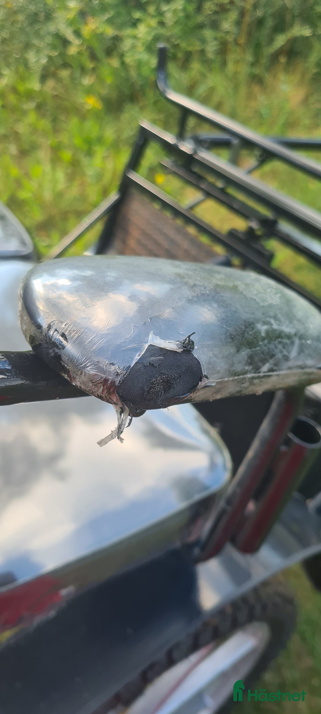 Körvagnar körning till salu: Rockard - D-ponny till liten storhäst i Visby - Bild 4