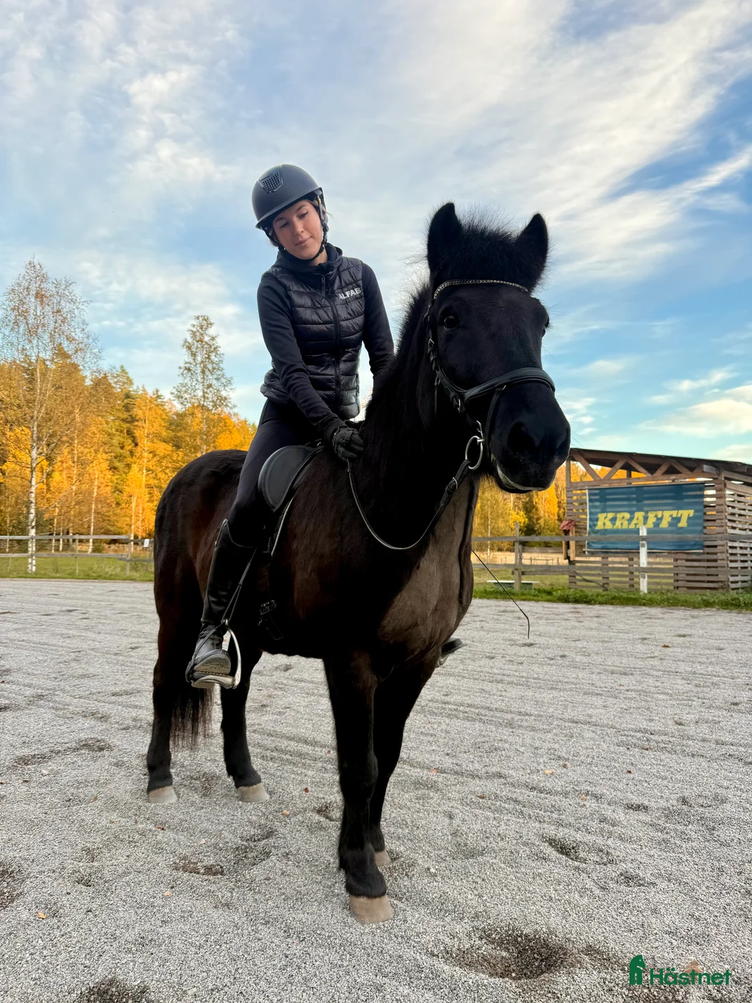 Galleribild {{count}}