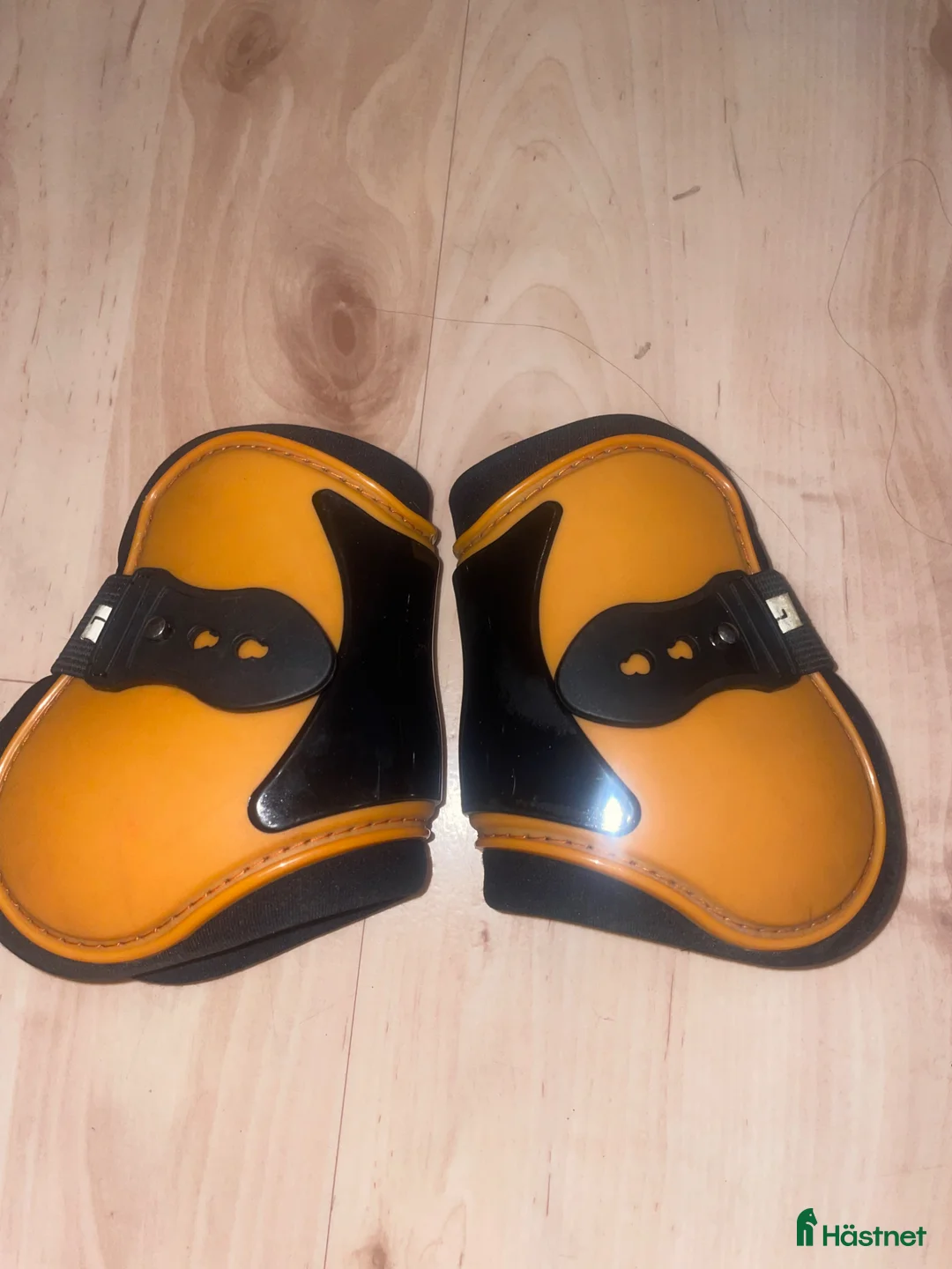 Benskydd hästutrustning till salu: Senskydd - Annons 2