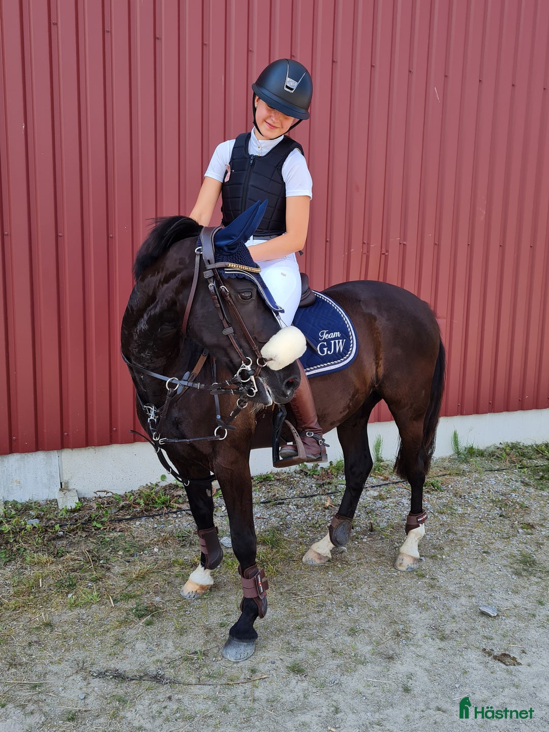 Allround hästar till salu: Trevlig ridkompis och läromästare i Sankt OLOF - Annons 3