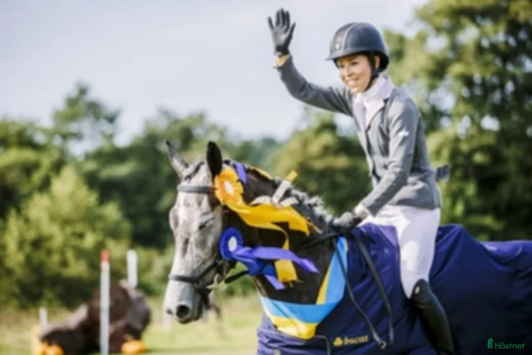  hästservice finnes: Horse Holistic - Hästutbildning - Annons 2