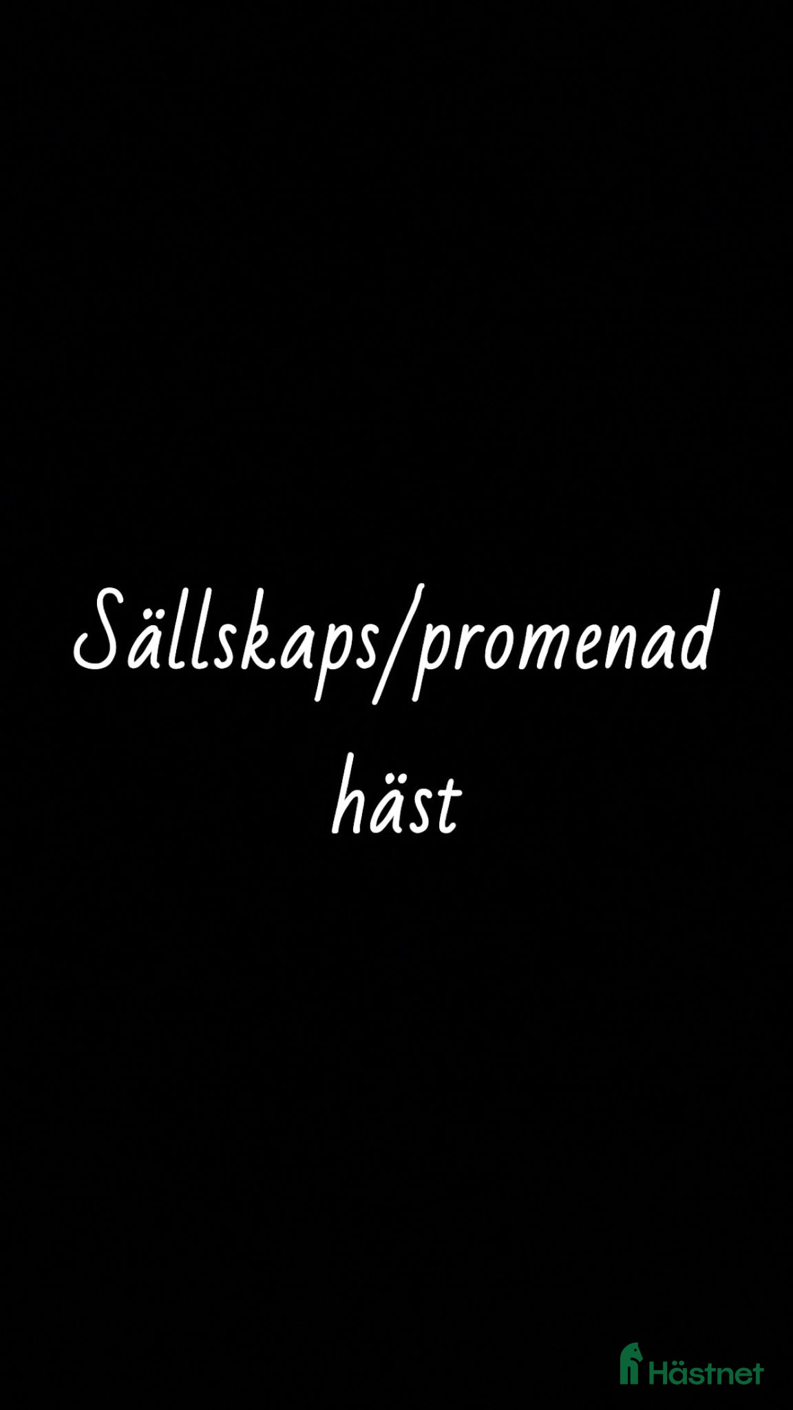  hästar Världens snällaste  - Annons 1