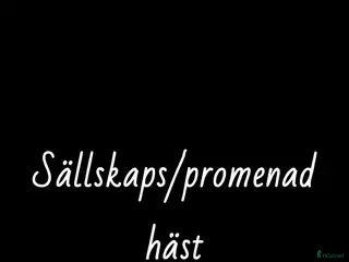 hästar Världens snällaste - Annons 1