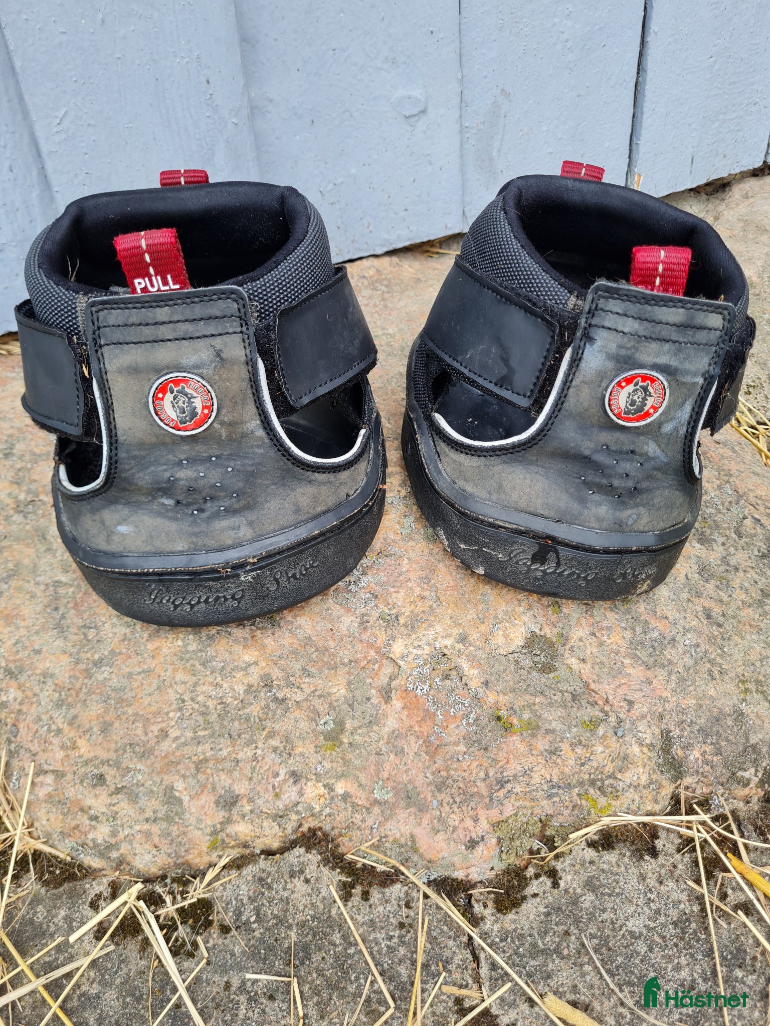 Övrig Hästutrustning hästutrustning Trekking, strl 14 regular - Annons 1