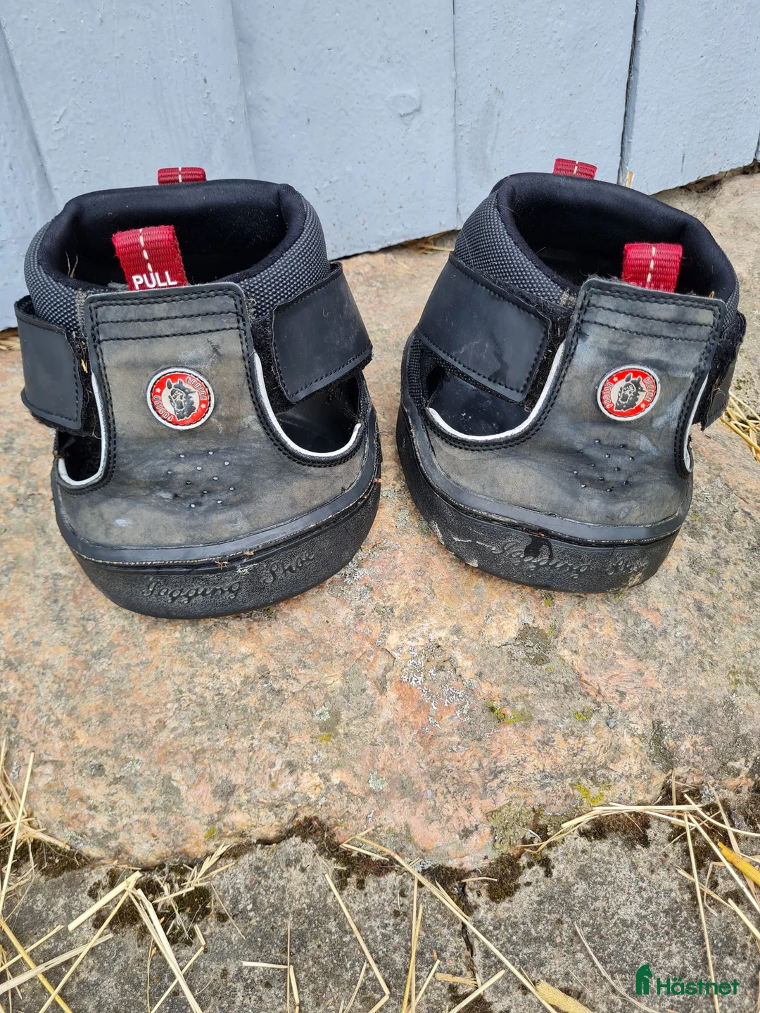 Övrig Hästutrustning hästutrustning till salu: Trekking, strl 14 regular - Annons 1