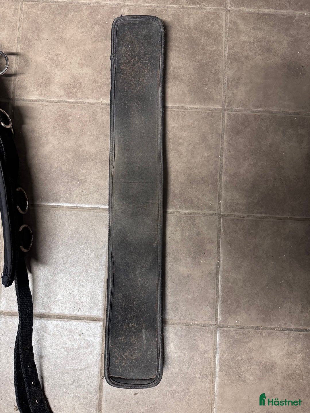 Övrig Hästutrustning hästutrustning till salu: Tömkörningsgjord i Borlänge - Annons 3