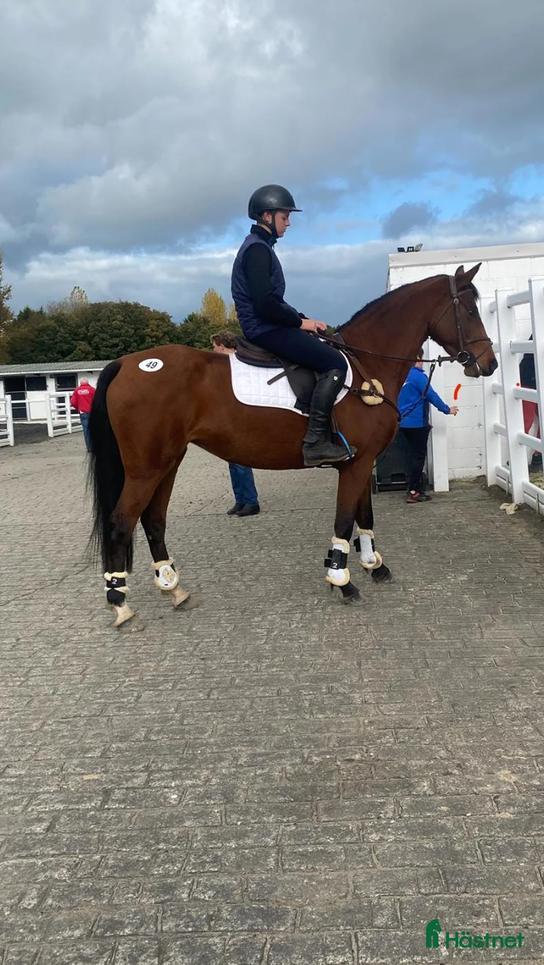 Hoppning hästar till salu: Lady Numero Uno i Ljungby - Annons 1