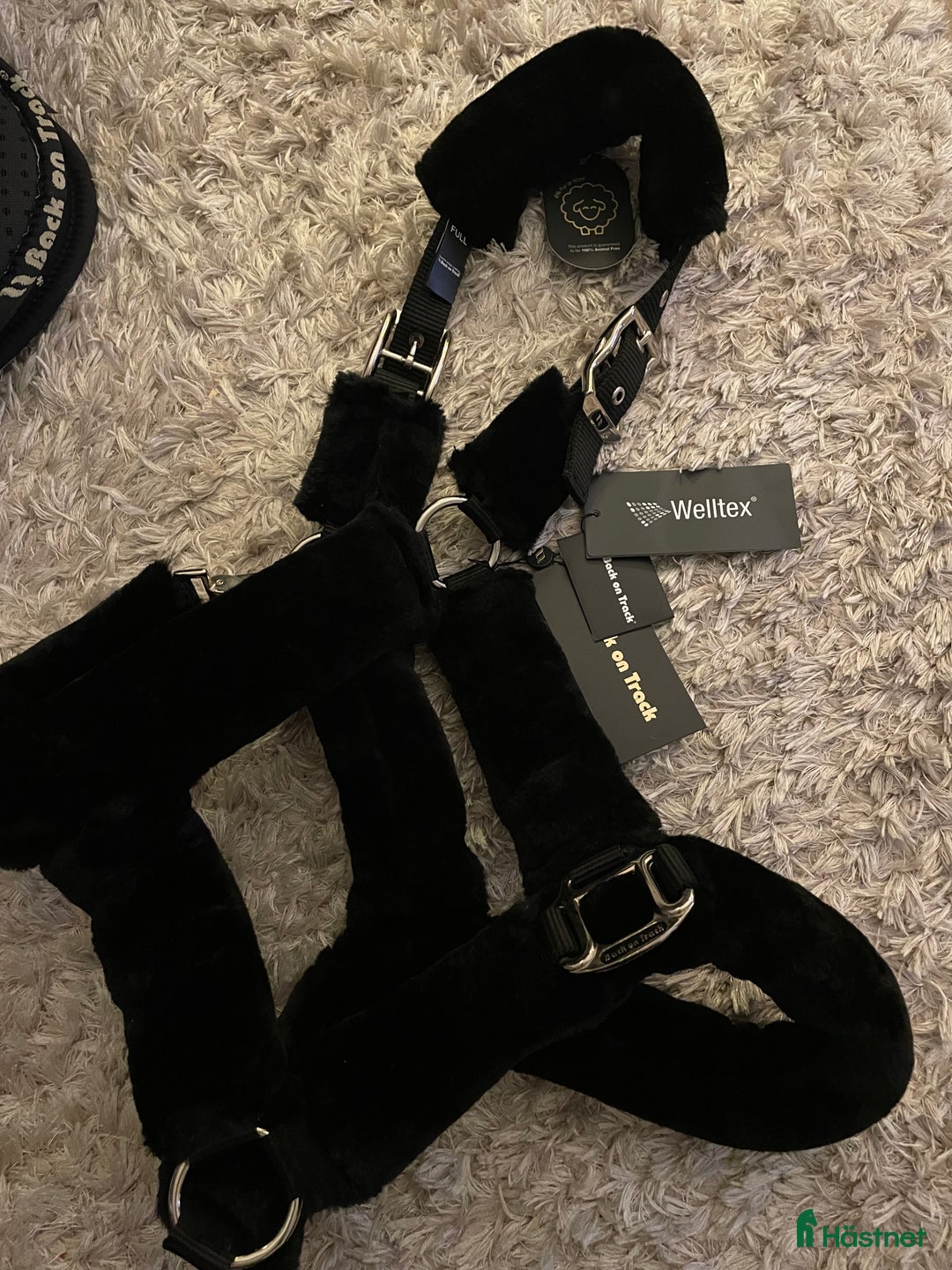 Schabrak & Vojlockar hästutrustning till salu: BoT schabrak, pad och grimma i Fagersta - Annons 3