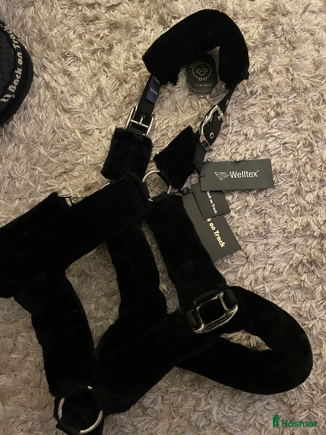 Schabrak & Vojlockar hästutrustning till salu: Schabrak dressyr full back on track - Annons 3