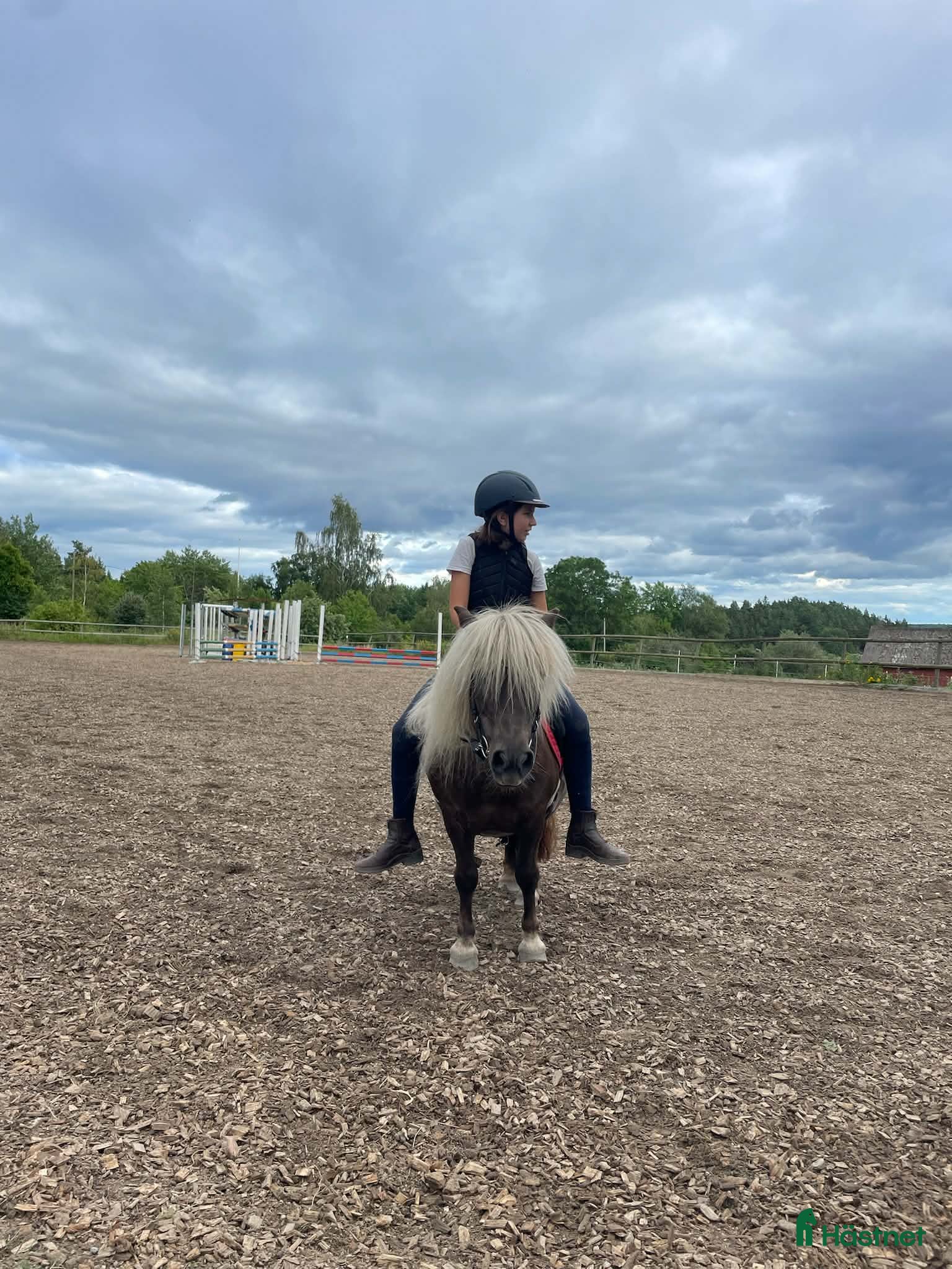  foderhäst Fodervärd sökes till större ridbar Shettis - Annons 12