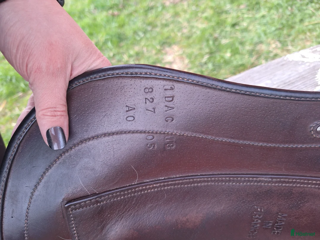 Sadlar hästutrustning till salu: Childeric DAC 18" A0 - Annons 2