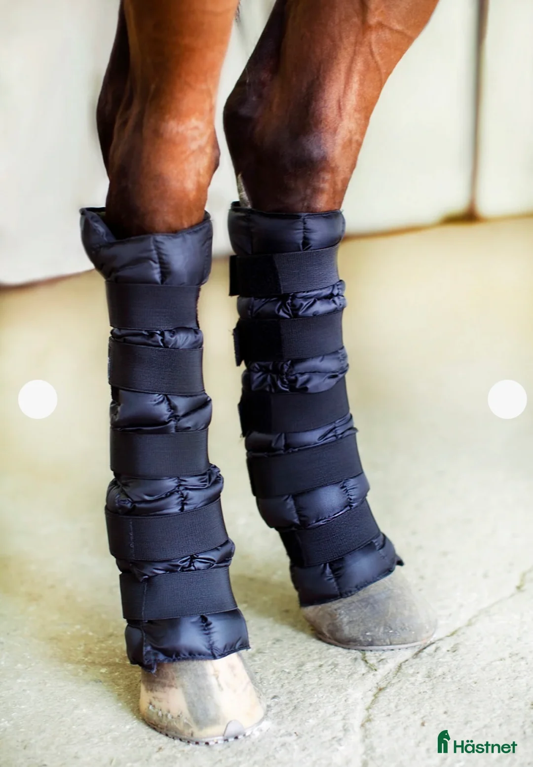 Benskydd hästutrustning till salu: Helt nya Finntack Kylbandage  - Annons 1