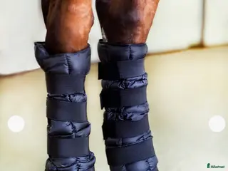 Benskydd hästutrustning Helt nya Finntack Kylbandage - Annons 3