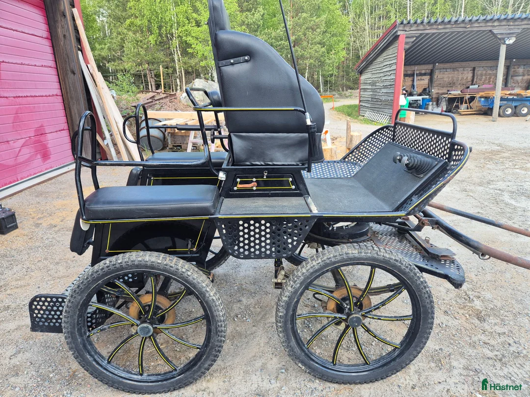 Körvagnar körning till salu: Wagonette  - Annons 1
