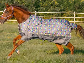 Täcken hästutrustning NY vintertäcke 155cm 300gram FRI FRAKT i Tumba - Annons 1