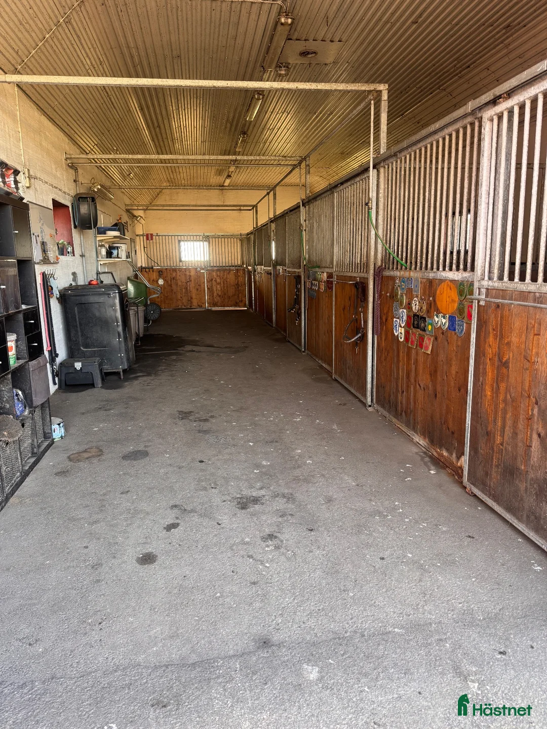  stallplats finnes: Stallplats finnes - Annons 2