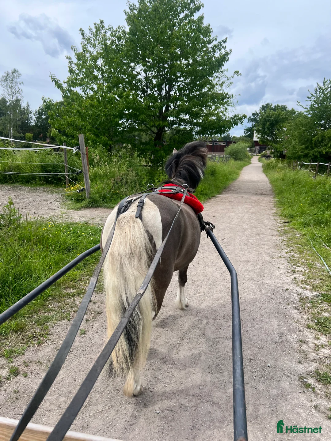  hästjobb finnes: Ridlärare sökes till Ridskola i Täby, Viggbyholm i Täby - Annons 5