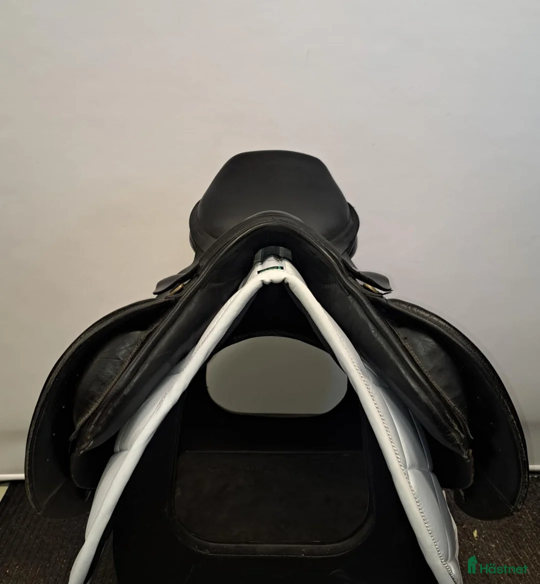 Sadlar hästutrustning till salu: Globus Esperanza - Annons 3