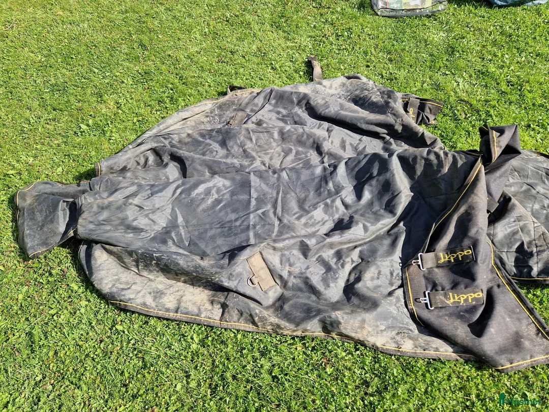 Täcken hästutrustning till salu: Lippo Supreme Plus 1200D 50g 145cm - Annons 5