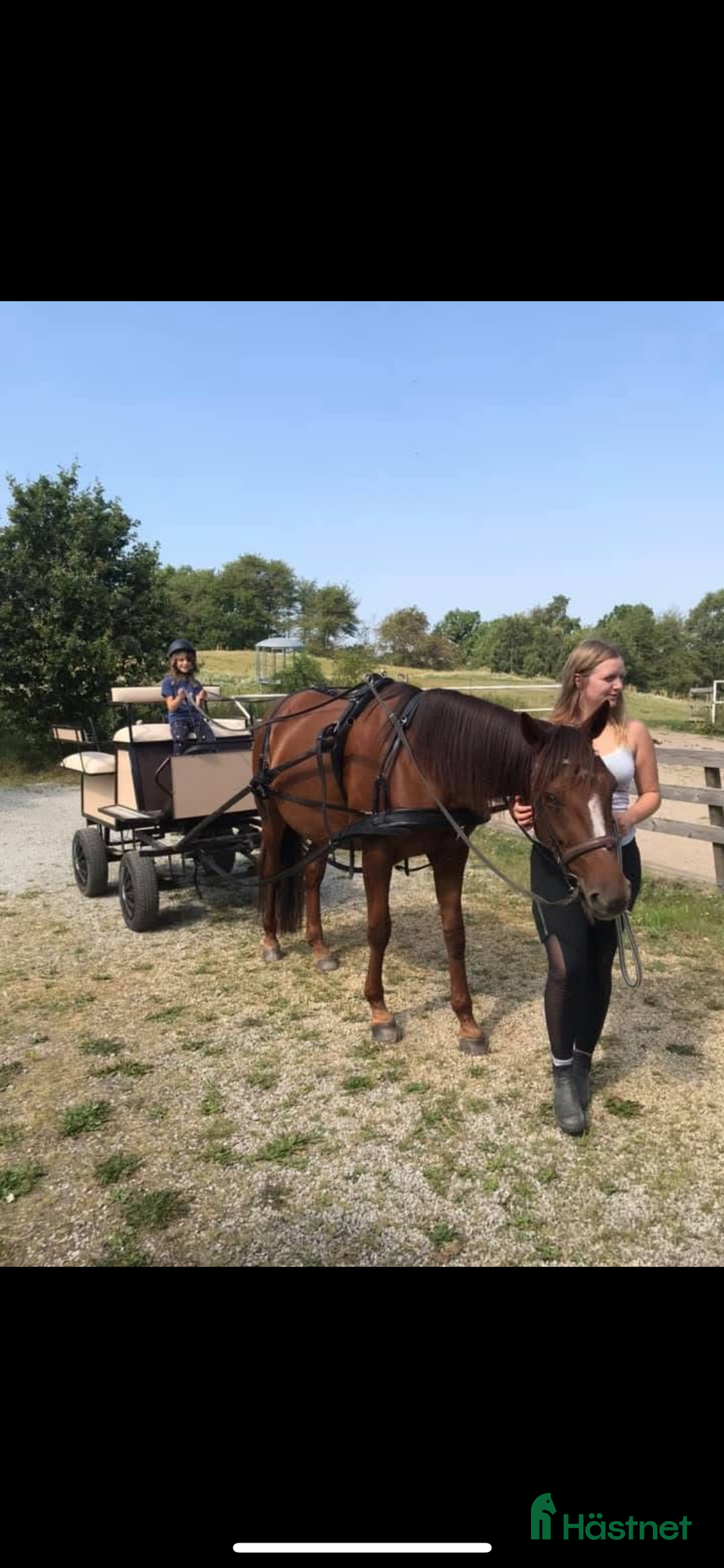 Körvagnar körning till salu: Fin hästvagn  i Klågerup - Annons 4