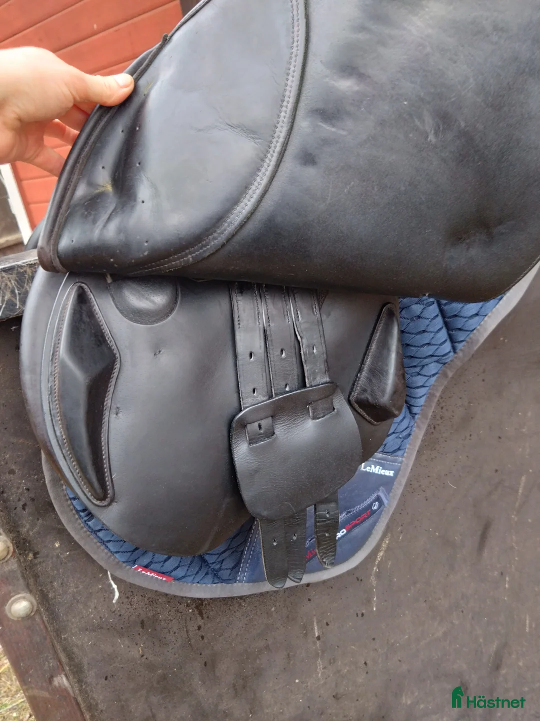 Sadlar hästutrustning till salu: Globus, hoppmodell svart - Annons 2